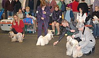 DSC_1799.jpg