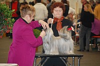 DSC_1800.jpg