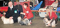 DSC_1802.jpg