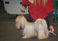 DSC_1803.jpg