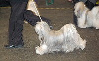 DSC_1804.jpg