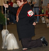 DSC_1805.jpg