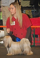 DSC_1806.jpg