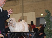 DSC_1809.jpg