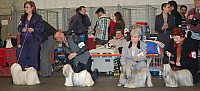 DSC_1811.jpg