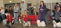 DSC_1812.jpg