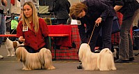 DSC_1816.jpg