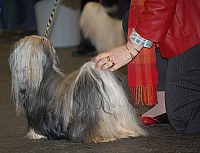 DSC_1833.jpg