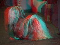 DSC_1835_3d.jpg