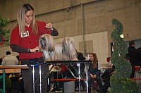 DSC_1836.jpg