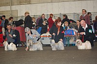 DSC_1838.jpg