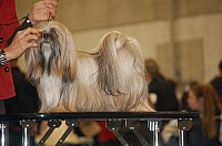 DSC_1839.jpg