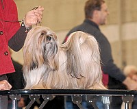 DSC_1842.jpg