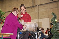 DSC_1844.jpg