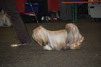 DSC_1847.jpg