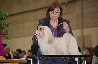DSC_1850.jpg