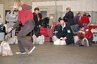 DSC_1852.jpg