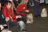 DSC_1879.jpg