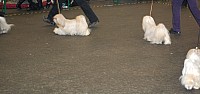 DSC_1885.jpg