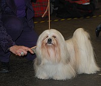 DSC_1893.jpg