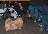 DSC_1900.jpg
