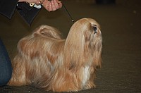 DSC_1902.jpg