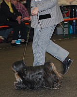 DSC_1908.jpg