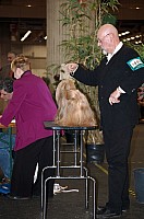 DSC_1909.jpg