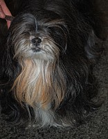 DSC_1911.jpg