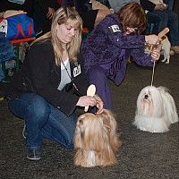 DSC_1919.jpg