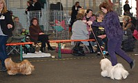 DSC_1920.jpg
