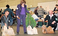 DSC_1935.jpg
