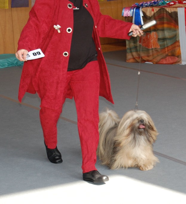 DSC_3179.jpg