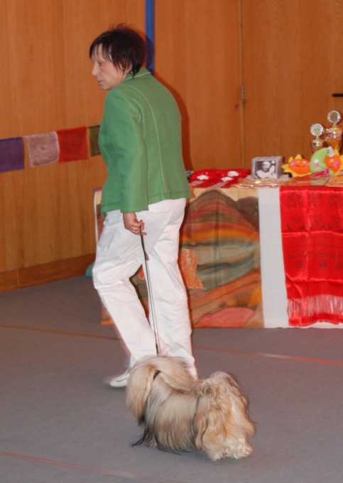 DSC_3240.jpg