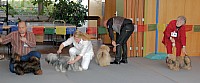 DSC_3138.jpg DSC_3138.jpg