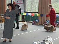 DSC_3141.jpg DSC_3141.jpg