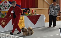 DSC_3151.jpg DSC_3151.jpg