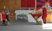 DSC_3169.jpg DSC_3169.jpg