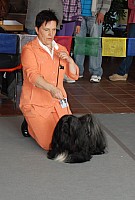 DSC_3186.jpg DSC_3186.jpg