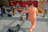 DSC_3193.jpg DSC_3193.jpg