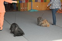 DSC_3197.jpg DSC_3197.jpg