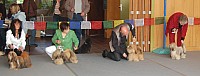 DSC_3216.jpg DSC_3216.jpg