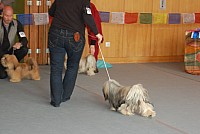 DSC_3217.jpg DSC_3217.jpg