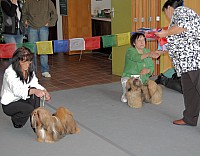 DSC_3225.jpg DSC_3225.jpg