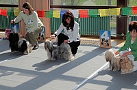 DSC_3231.jpg DSC_3231.jpg