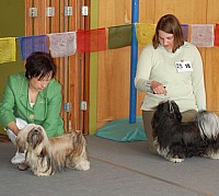 DSC_3236.jpg DSC_3236.jpg