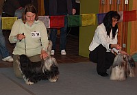 DSC_3238.jpg DSC_3238.jpg