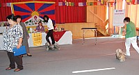 DSC_3243.jpg DSC_3243.jpg