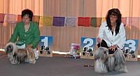 DSC_3247.jpg DSC_3247.jpg