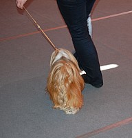 DSC_3250.jpg DSC_3250.jpg